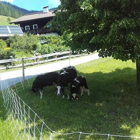 Neudegghof Διαμέρισμα *