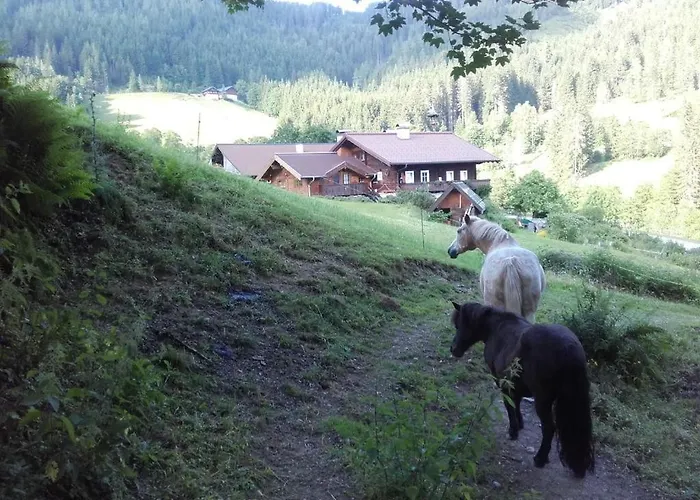 Апартаменты Neudegghof *