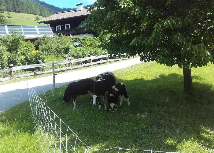 Neudegghof Апартаменты *